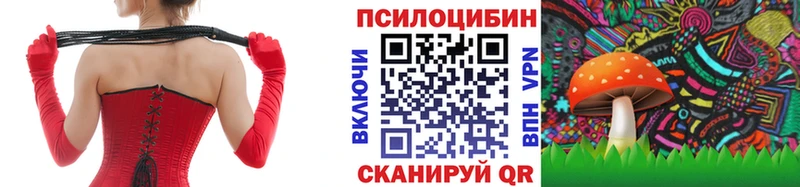 MEGA   Реж  Псилоцибиновые грибы мицелий  где найти наркотики 