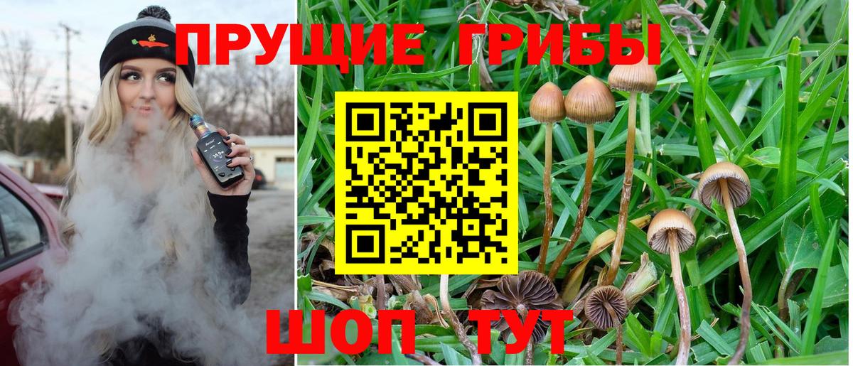 Галлюциногенные грибы Psilocybine cubensis Реж